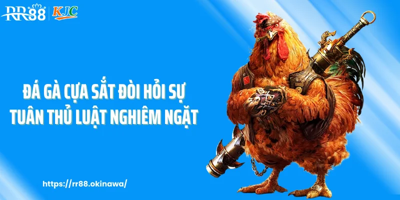 Đá gà cựa sắt đòi hỏi sự tuân thủ luật nghiêm ngặt