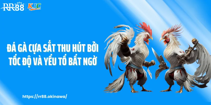 Đá gà cựa sắt thu hút bởi tốc độ và yếu tố bất ngờ