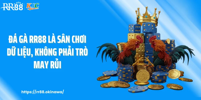 Đá gà RR88 là sân chơi dữ liệu, không phải trò may rủi