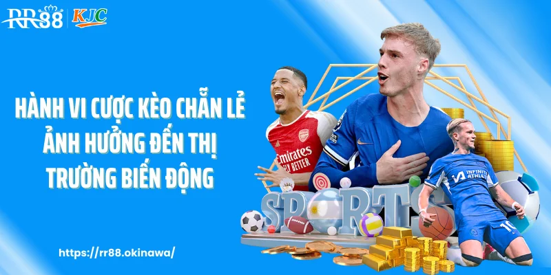 Hành vi cược kèo chẵn lẻ ảnh hưởng đến thị trường biến động