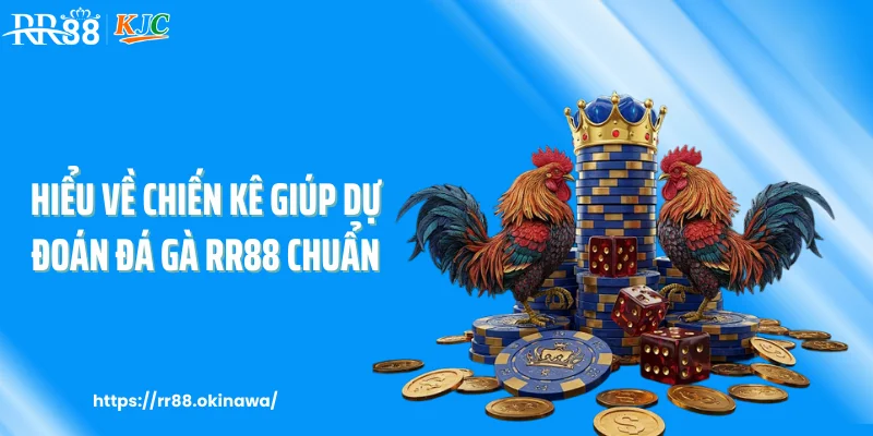 Hiểu về chiến kê giúp dự đoán đá gà RR88 chuẩn