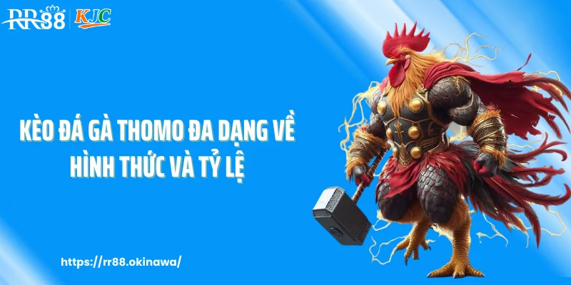 Kèo đá gà Thomo đa dạng về hình thức và tỷ lệ