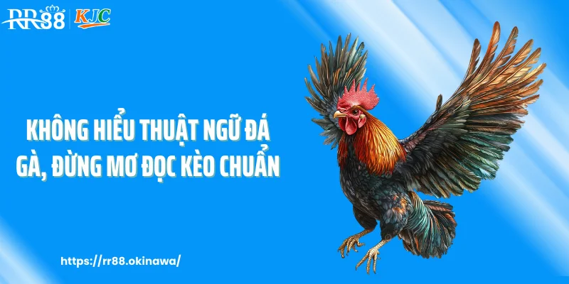 Không hiểu thuật ngữ đá gà, đừng mơ đọc kèo chuẩn