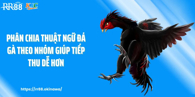 Phân chia thuật ngữ đá gà theo nhóm giúp tiếp thu dễ hơn